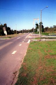 tire mark and bicycle wheel imprint in grassed area of traffic island