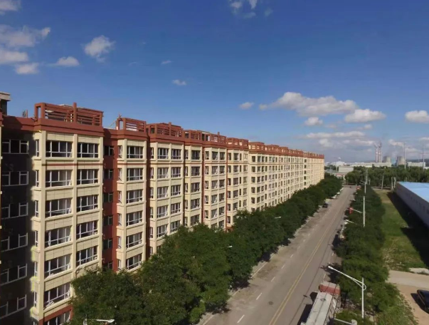 中国尊龙官方上半年项目建设进展顺利(图3)